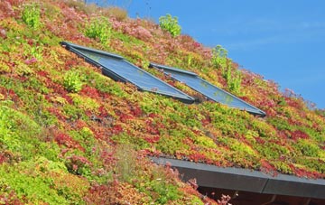 Barrow Upon Soar living roof systems