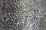 Barrow Upon Soar fibreglass roof work